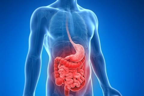 Νόσος Crohn: Όλα όσα πρέπει να γνωρίζετε